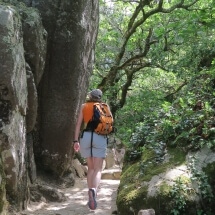 Découvrez le Parc Naturel de Sintra Cascais