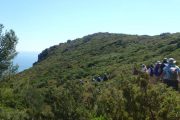 Randonnée côtière au Cap Espichel à la découverte des dinosaures
