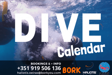 dive calendar