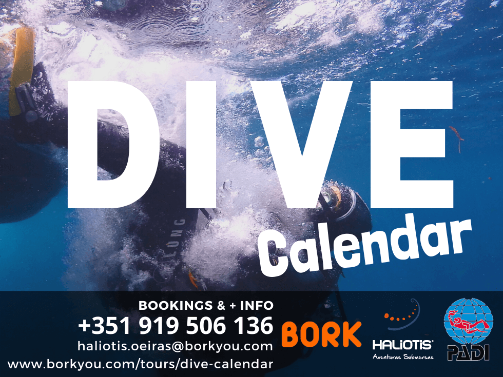 dive calendar